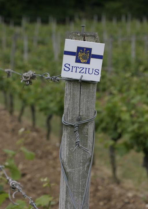 Weingut Wilhelm Sitzius